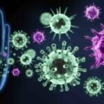 immune system peptides